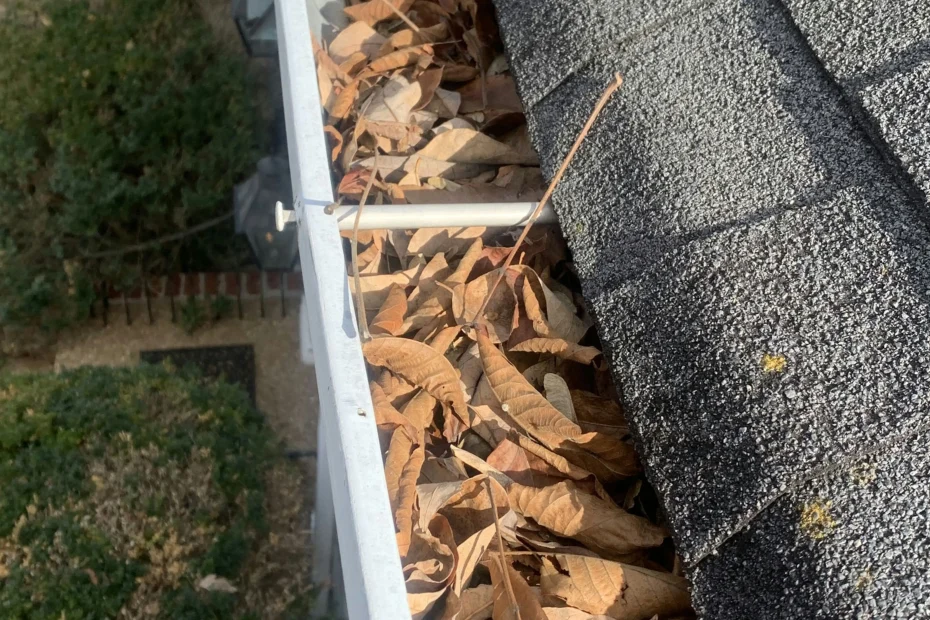 Broxton Gutter Cleaning